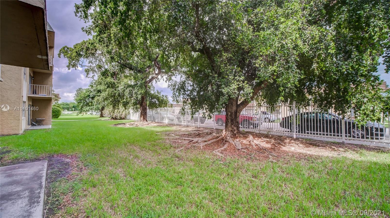 lawn outside unit
