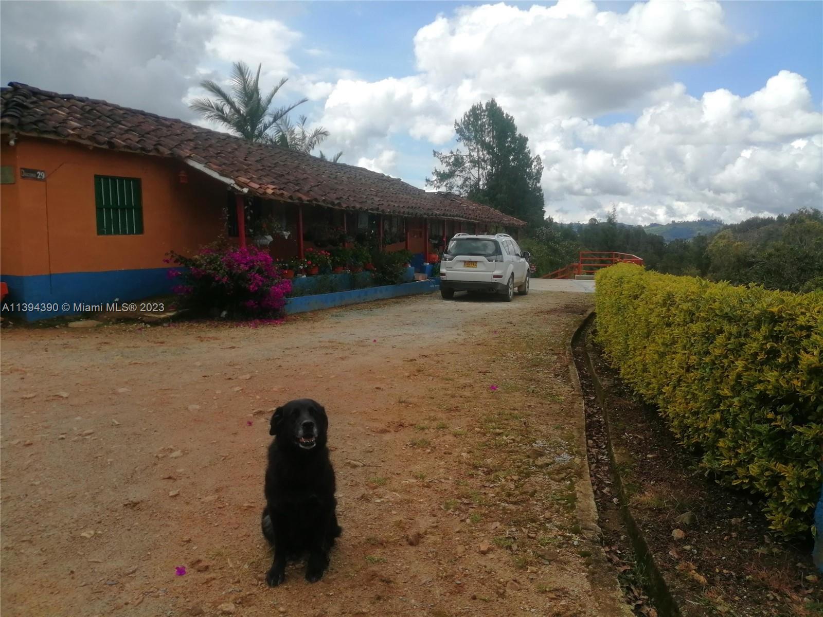 Yard
