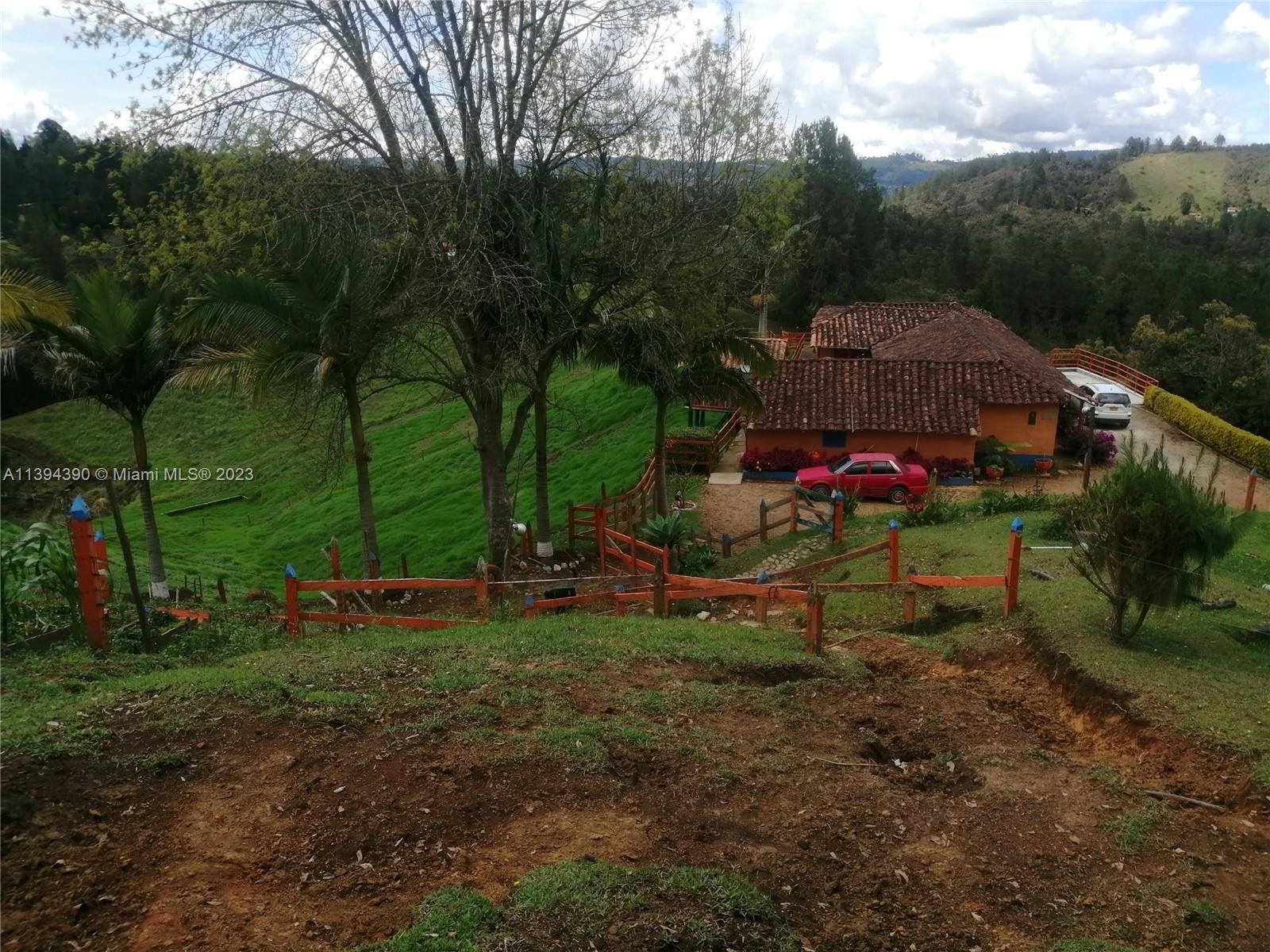 Yard