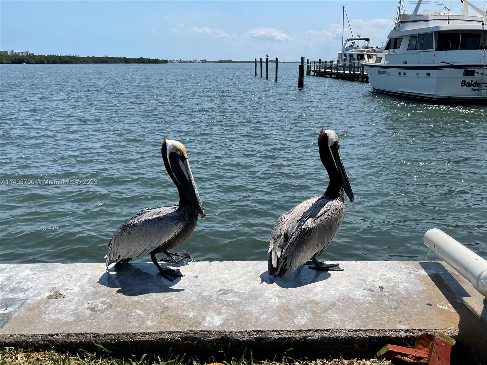 Dock