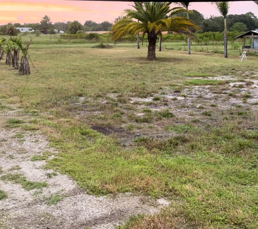 Yard