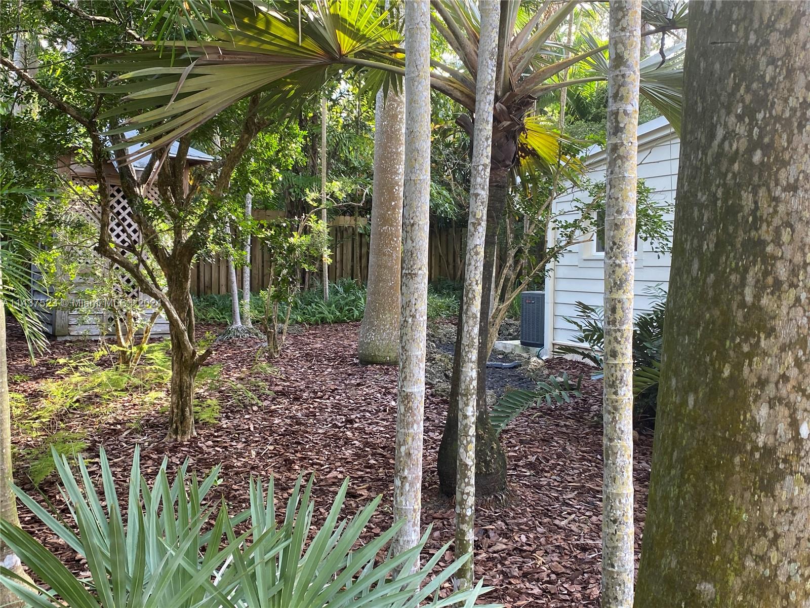 Garden view with Wooden Greenhouse.