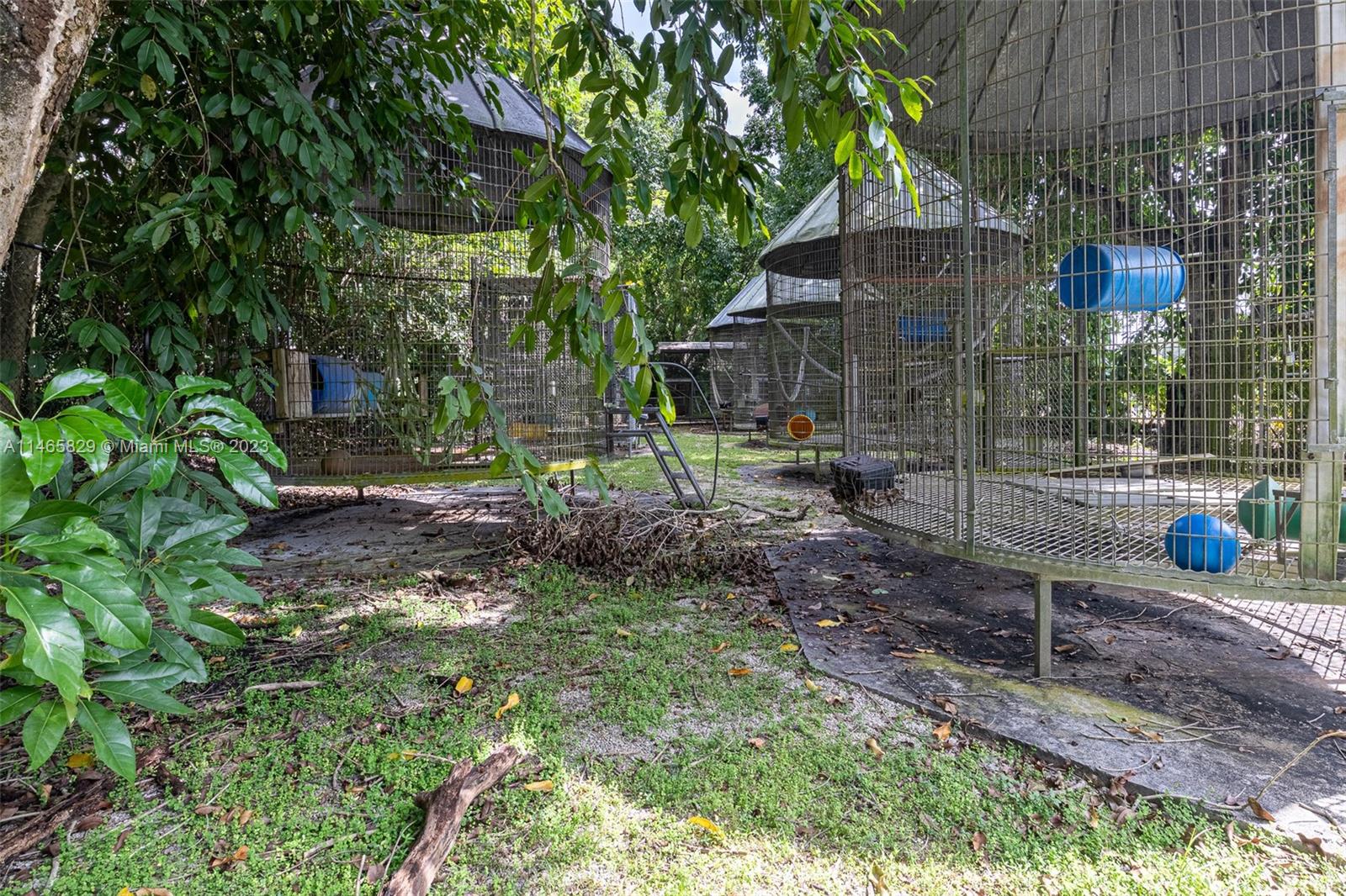 Yard