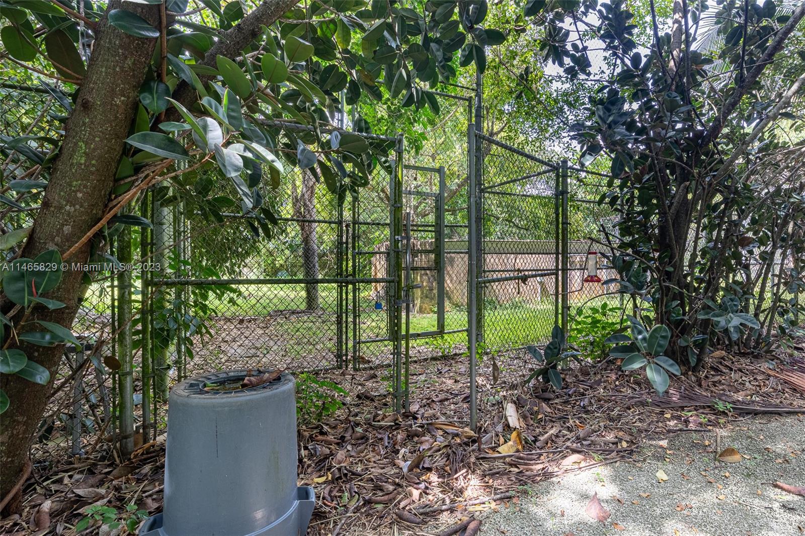 Yard