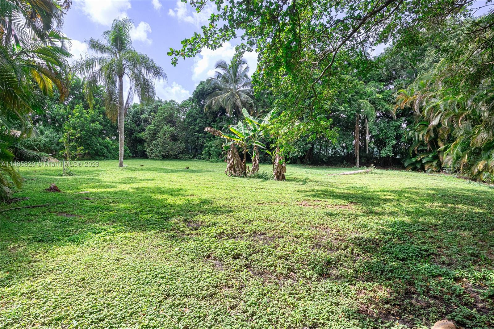Yard