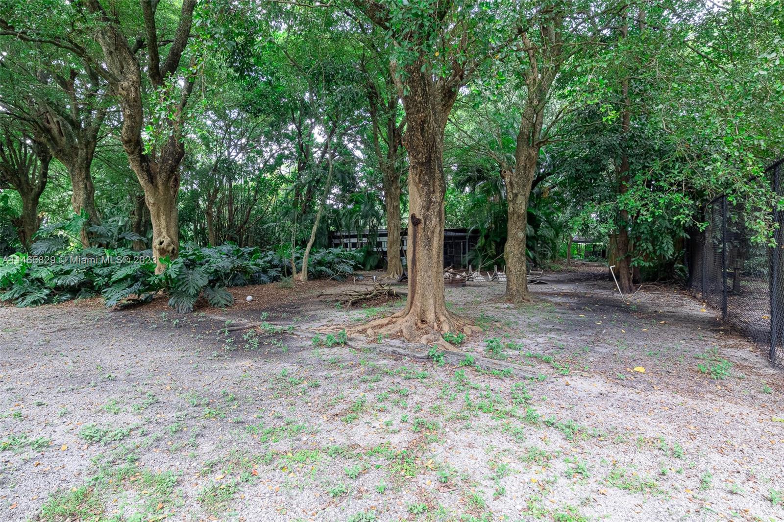 Yard