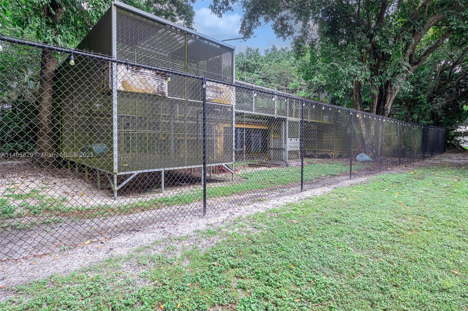 Yard