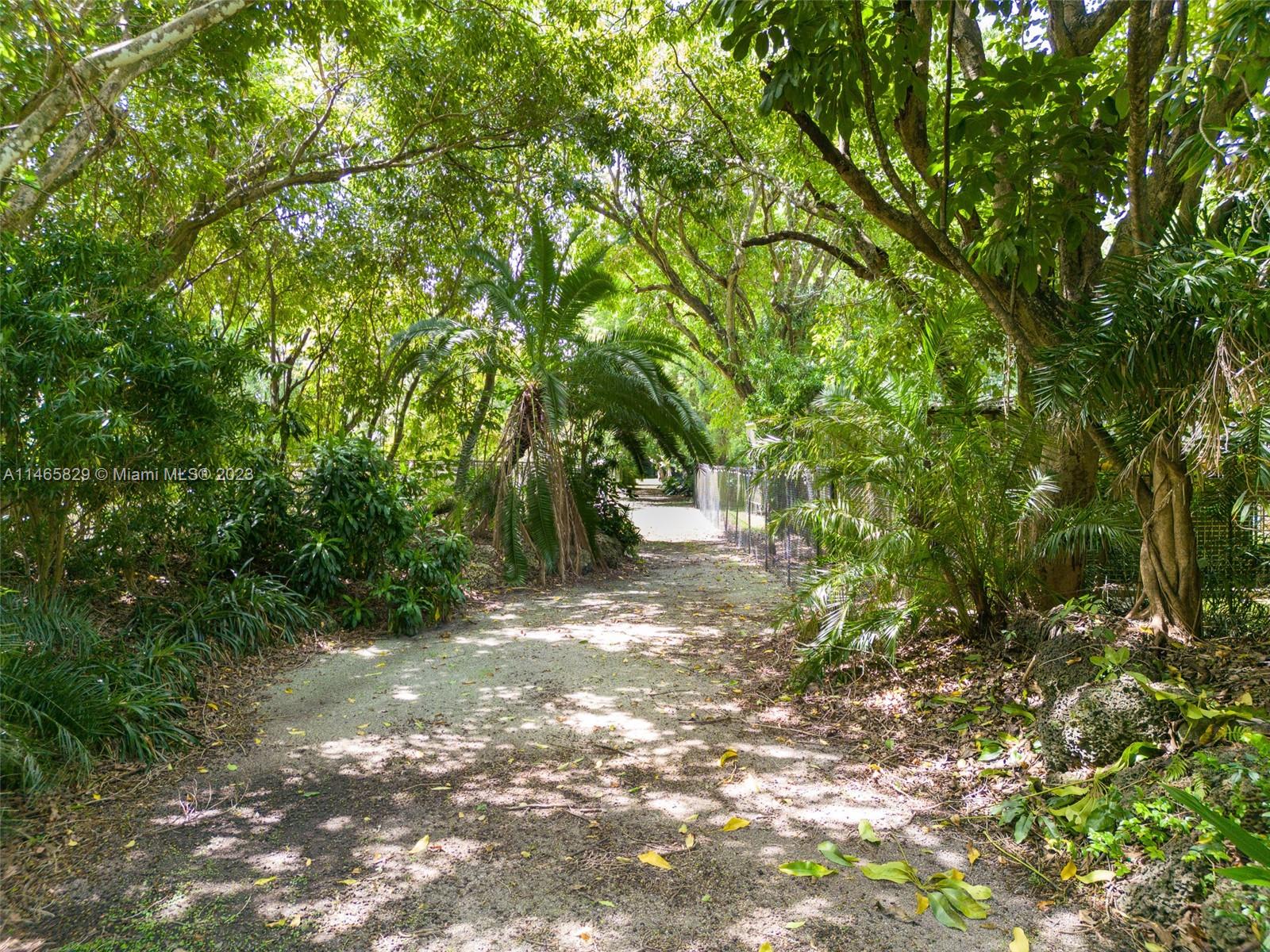 Yard