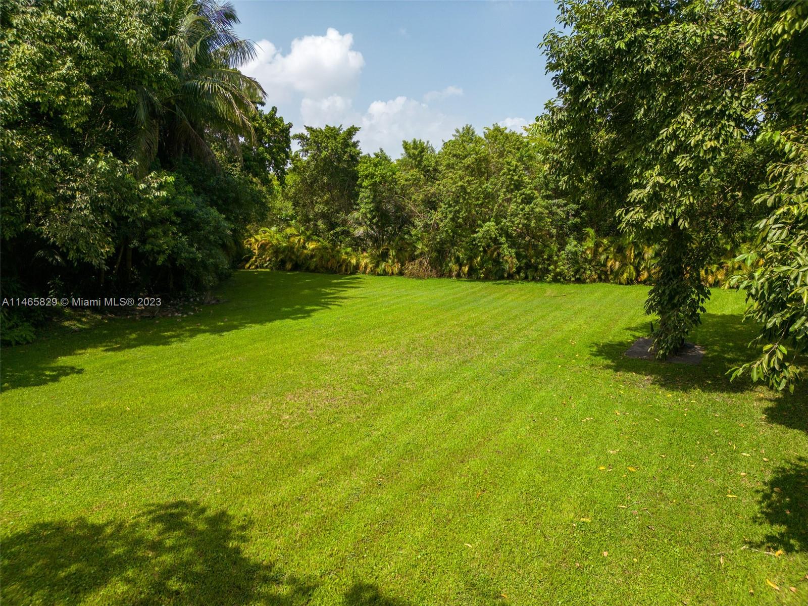 Yard