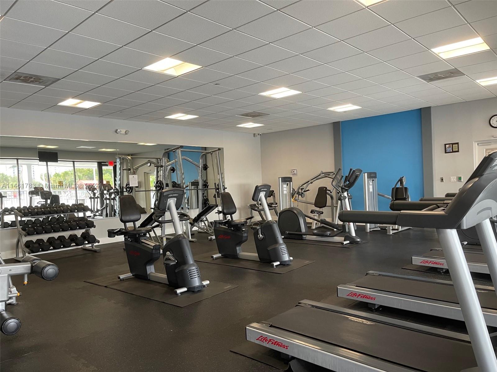 Gym