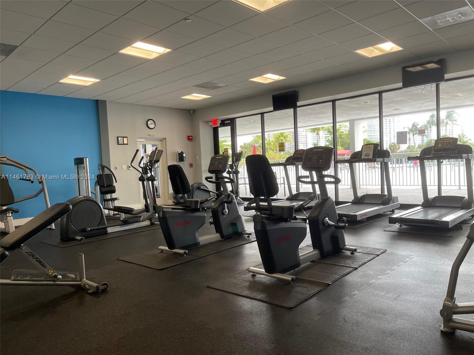 Gym