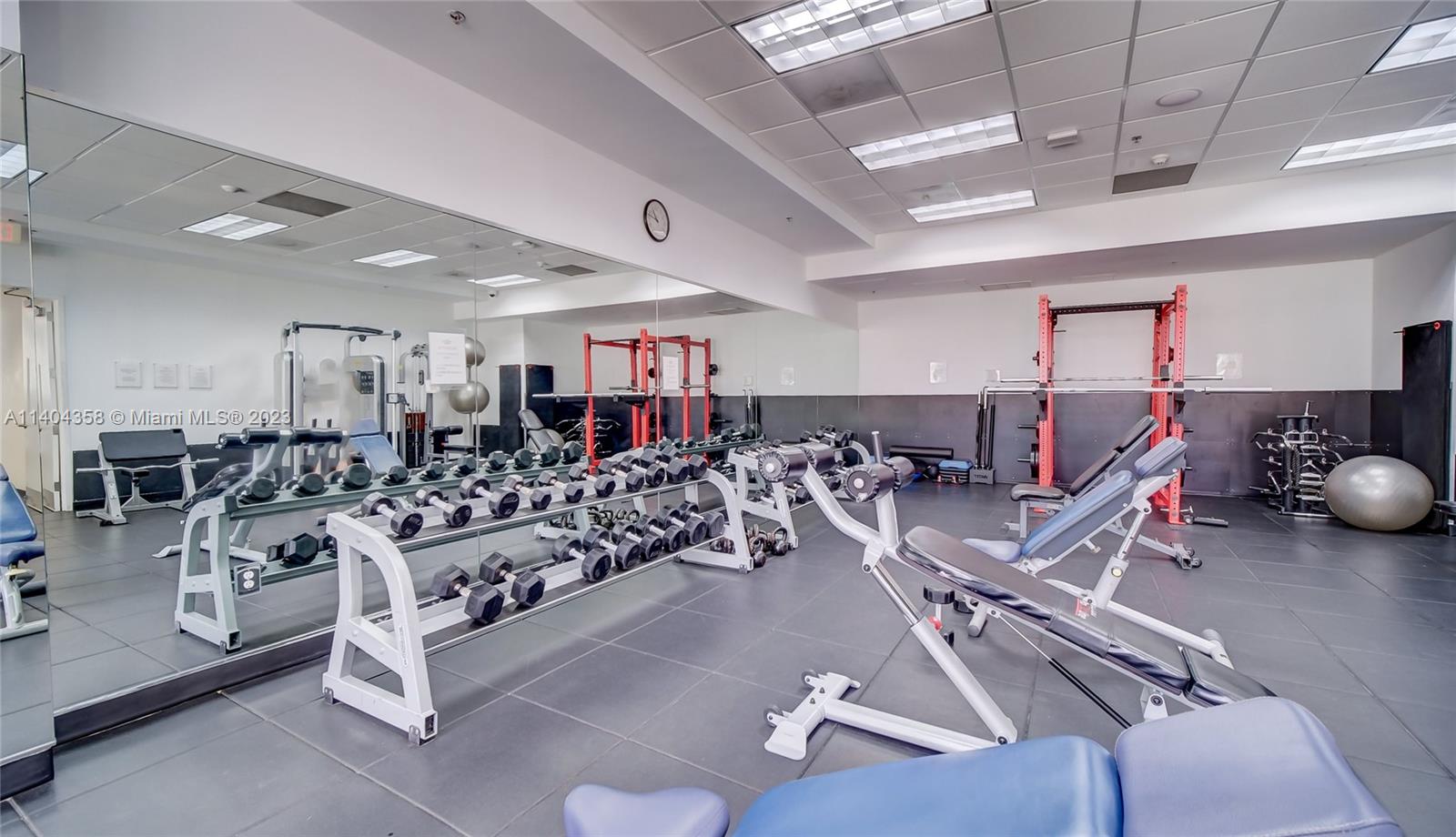 Gym