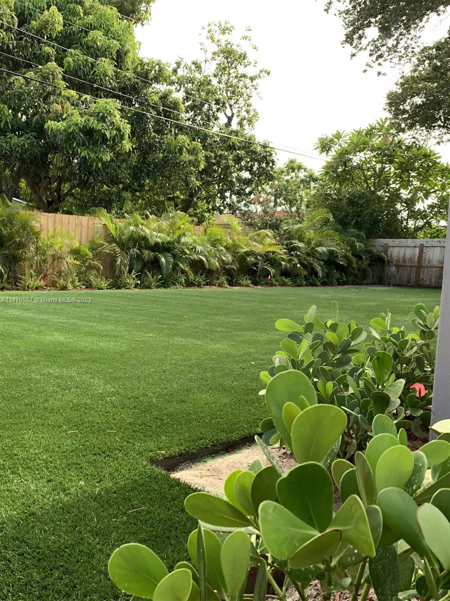 Yard