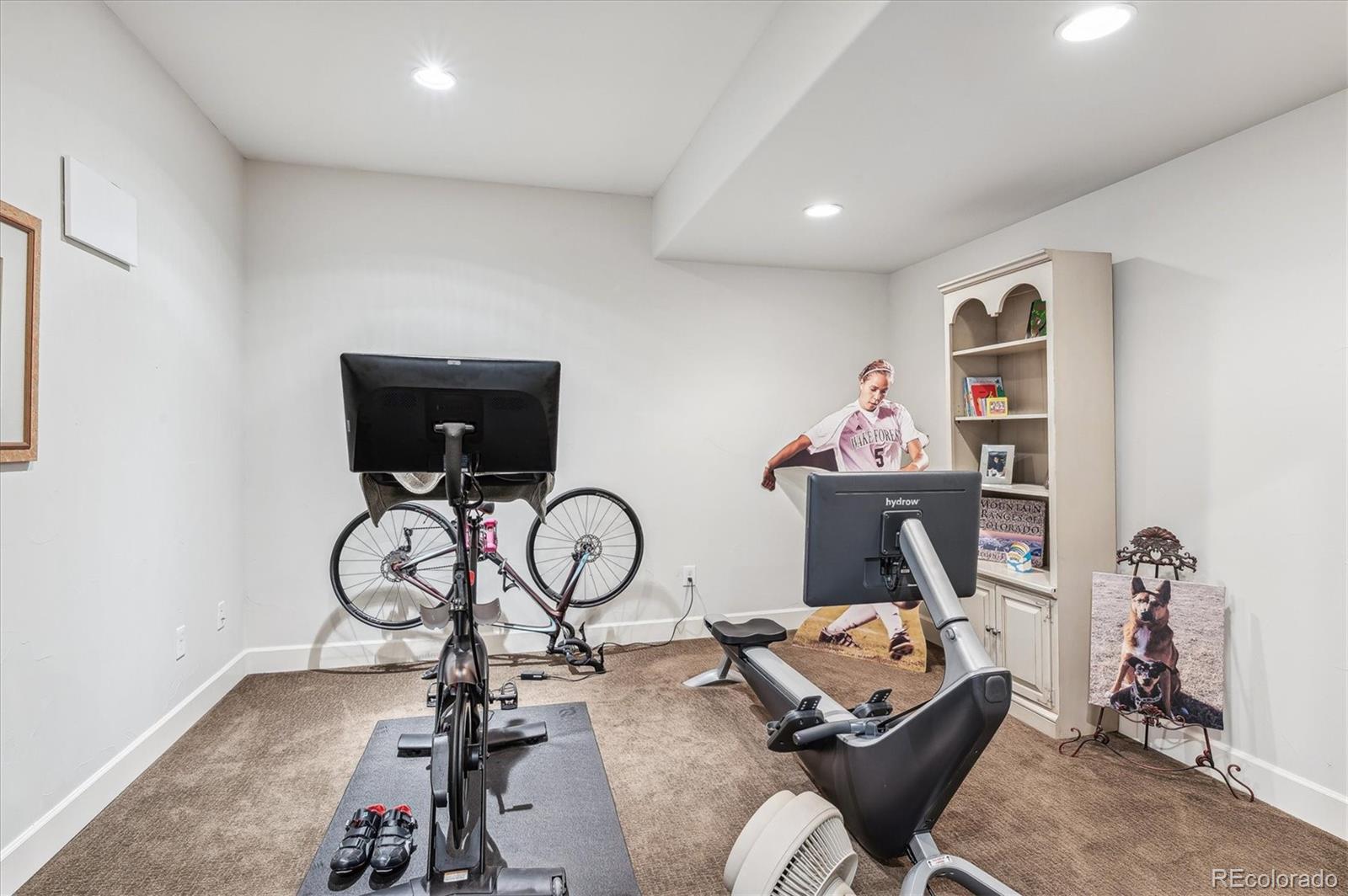 2111 Columbine Street, Denver, CO 80210, 5 Bedrooms Bedrooms, ,6 BathroomsBathrooms,Residential,For Sale,Columbine,REC5627954