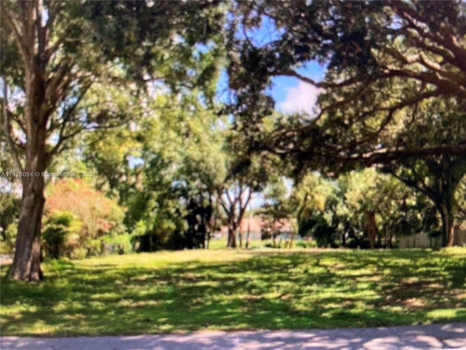 Yard