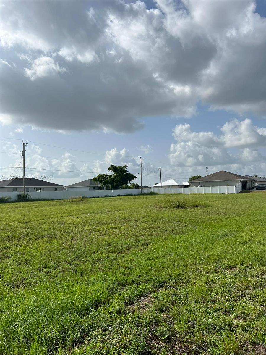 Yard