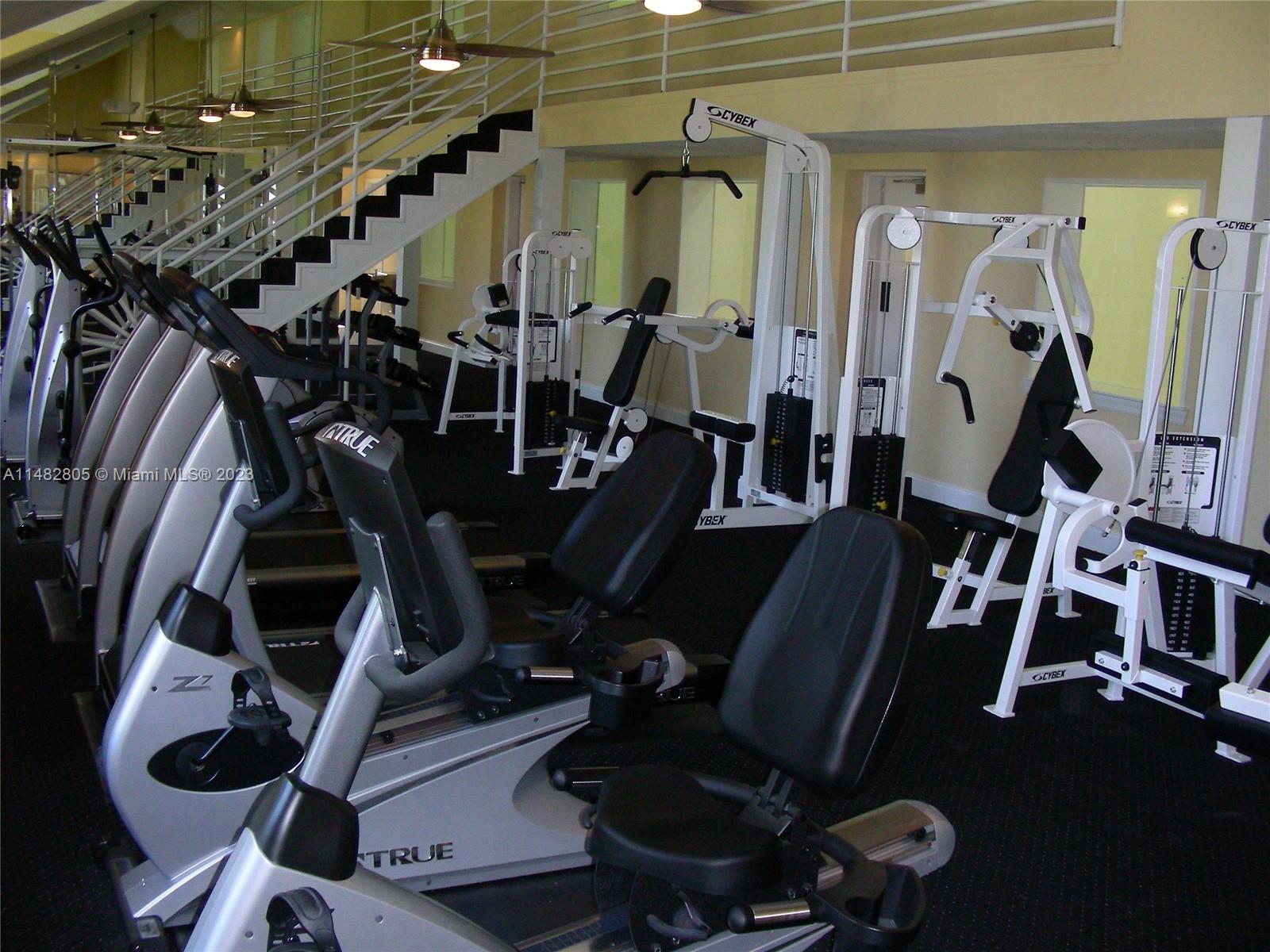 Gym