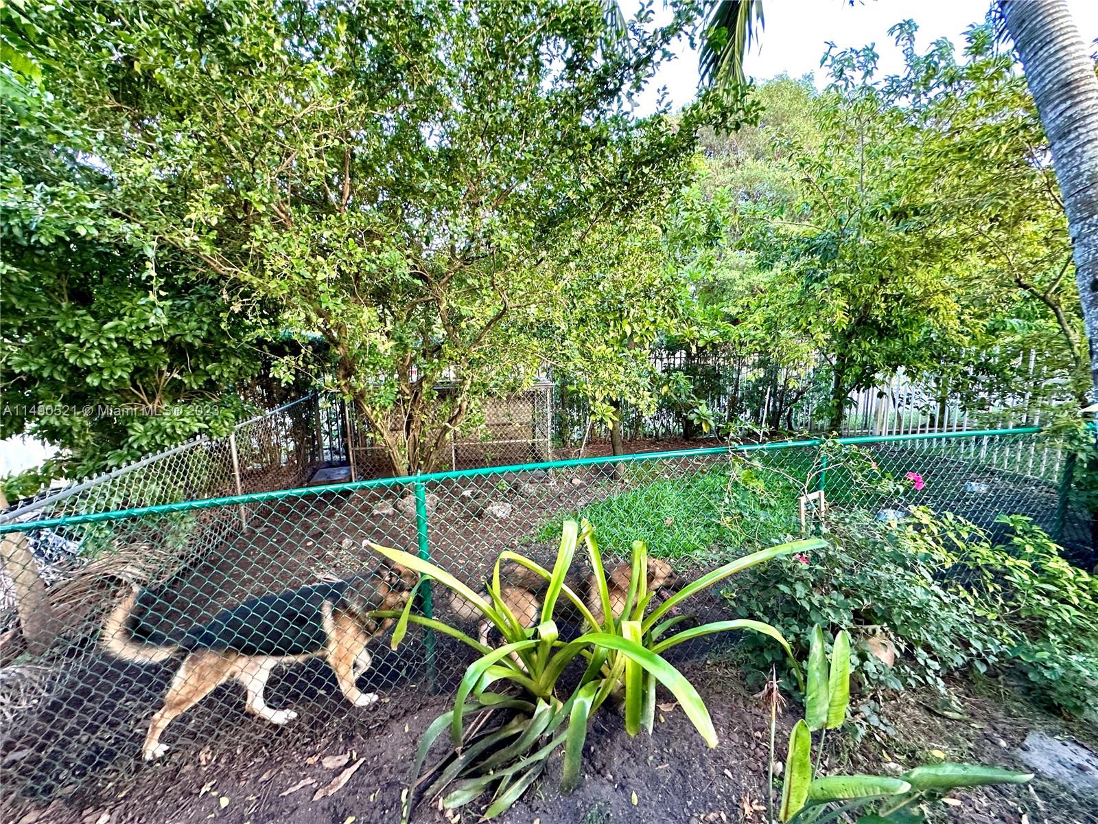 Yard