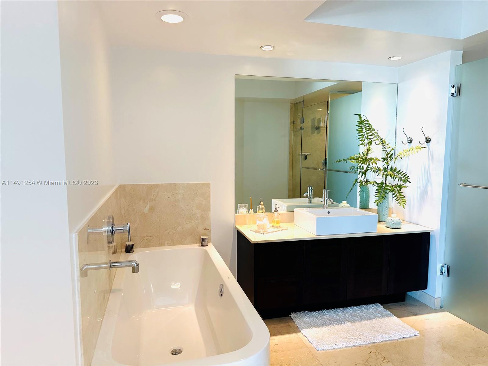 MASTER BATHROOM SINK & TUB