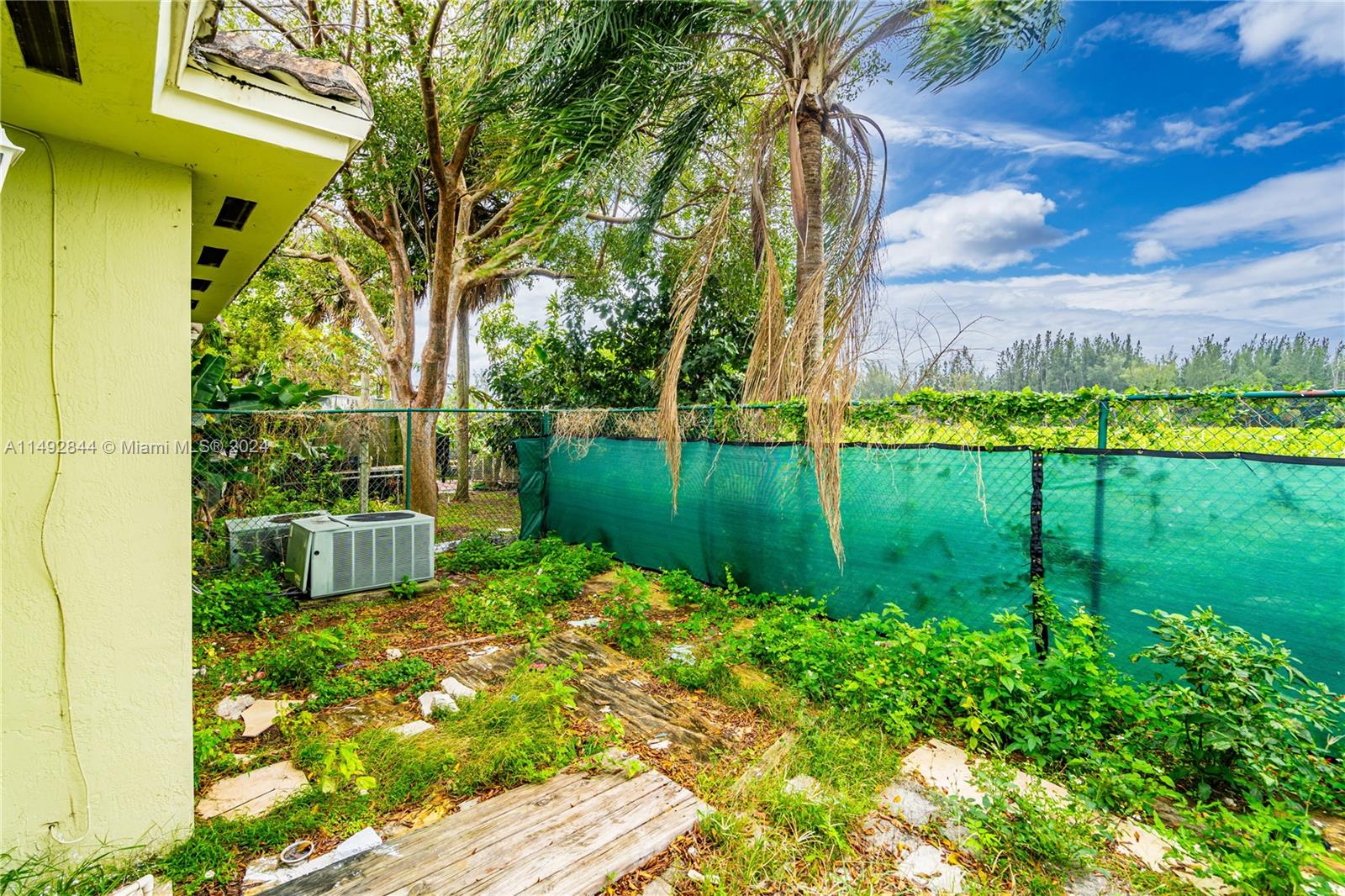Back yard.