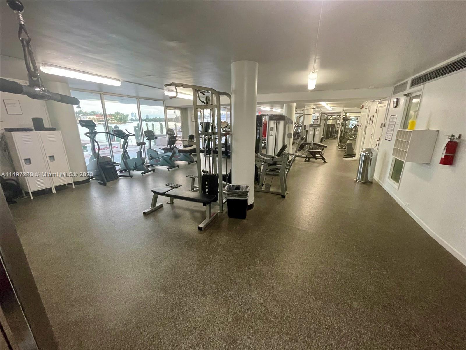 Gym
