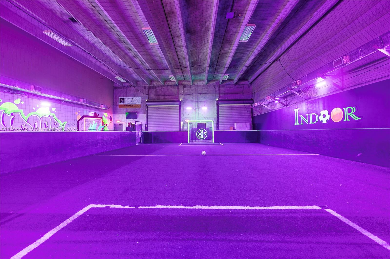 Black light view
