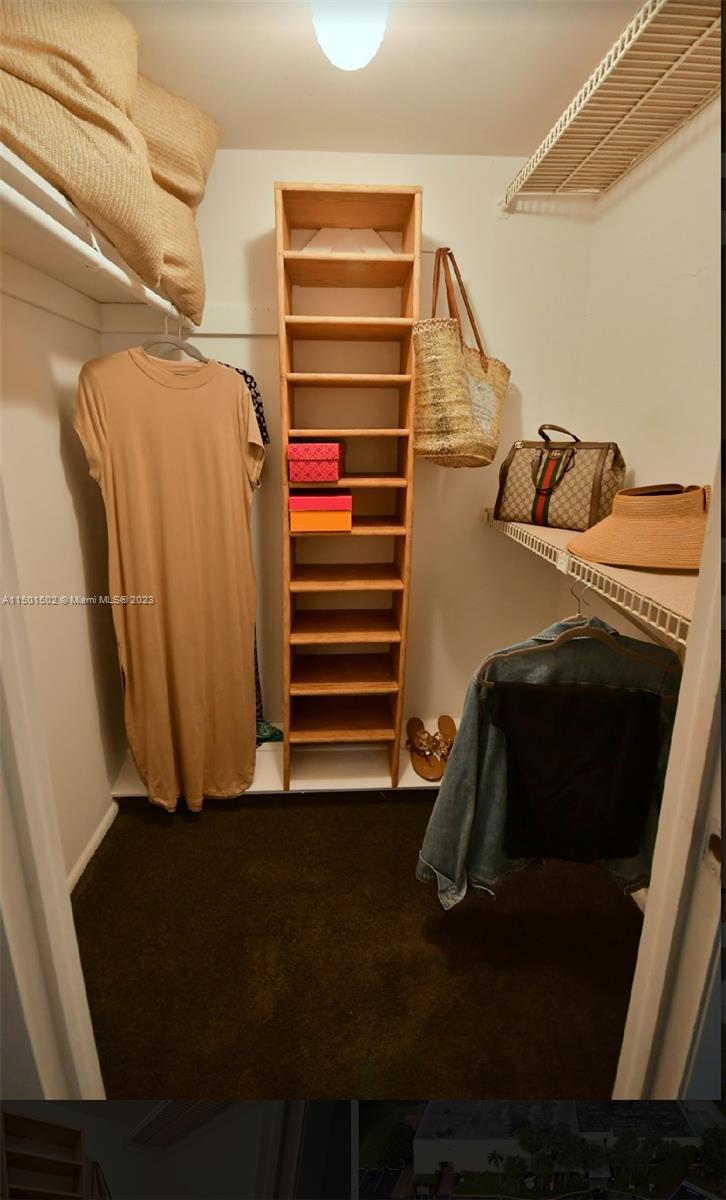 Master/Primary walk-in closet