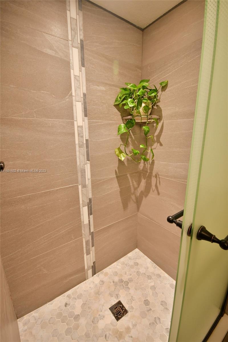 Master/Primary Shower