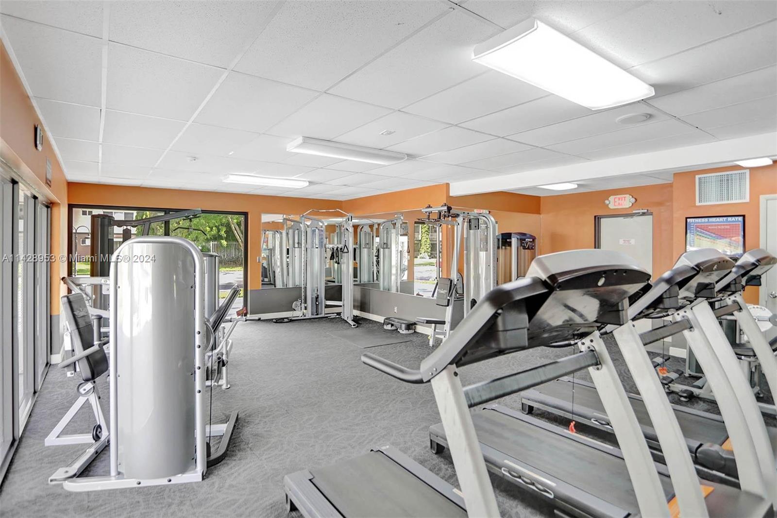 Gym