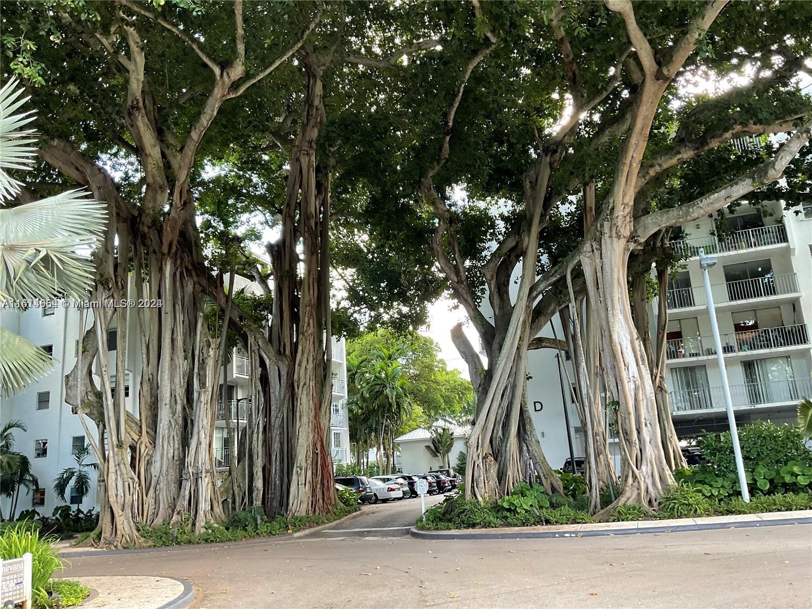 Exterior of Bldg and grounds