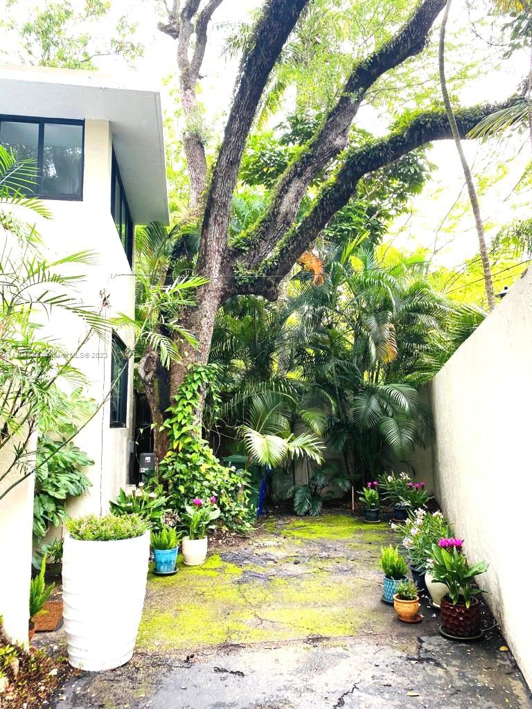 Yard