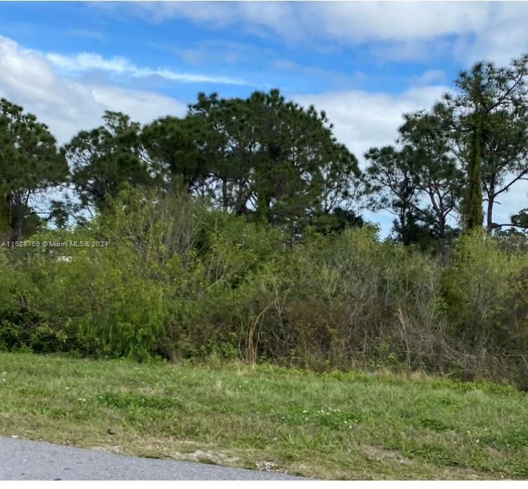34200 Richardson Blvd, Other City - In The State Of Florida, FL 33597, ,Land,For Sale,Richardson Blvd,A11528769