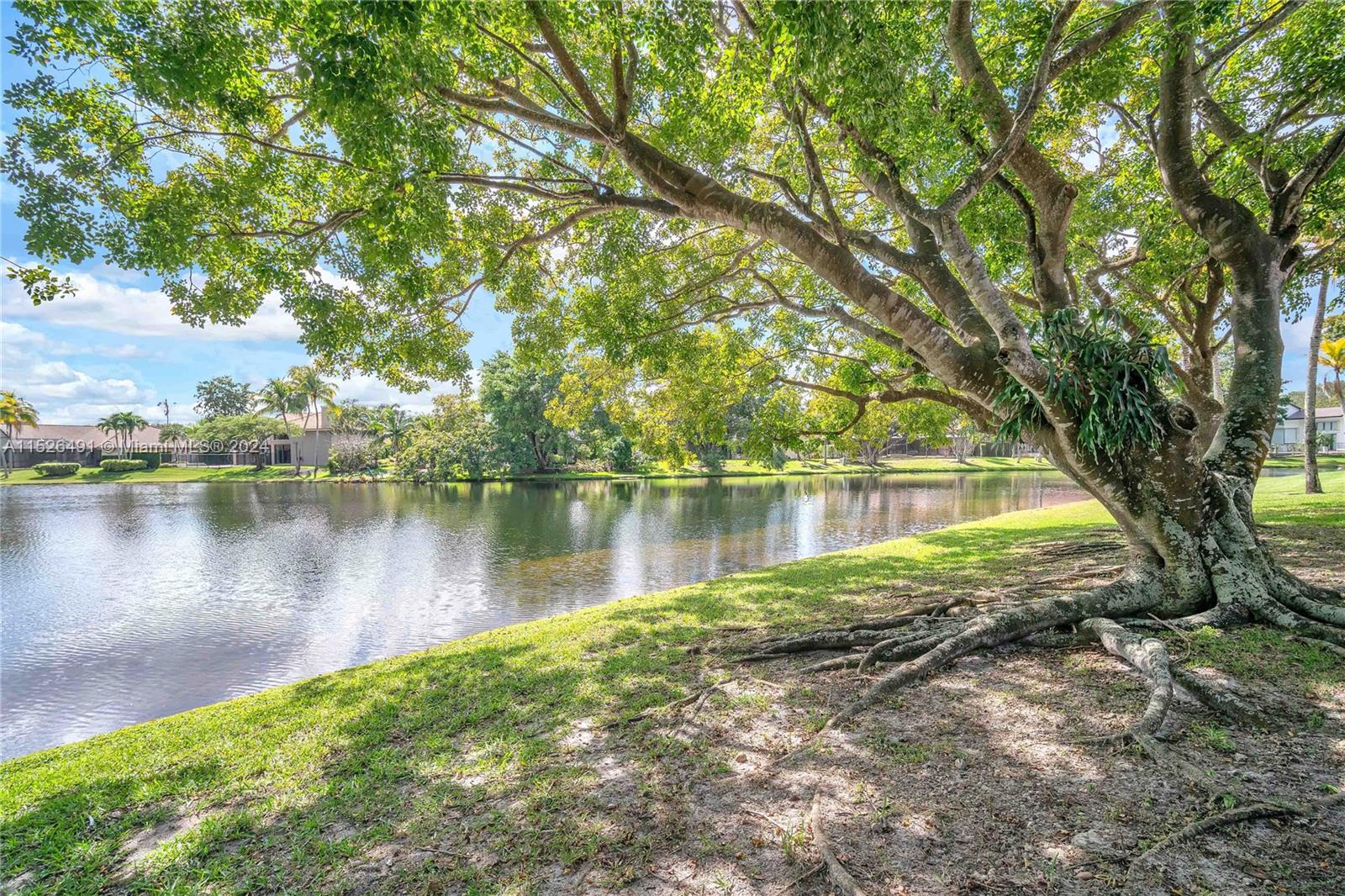 Mature landscaping front the peaceful wide lake view.