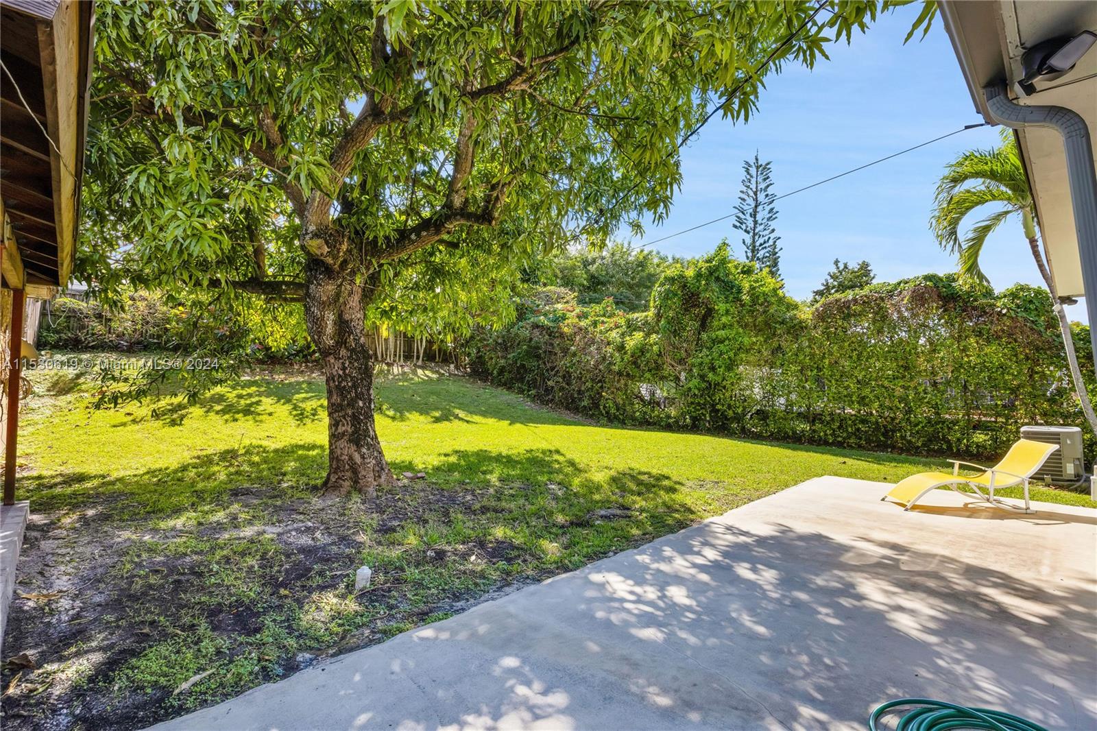 Backyard exposed patio with mature mango tree.