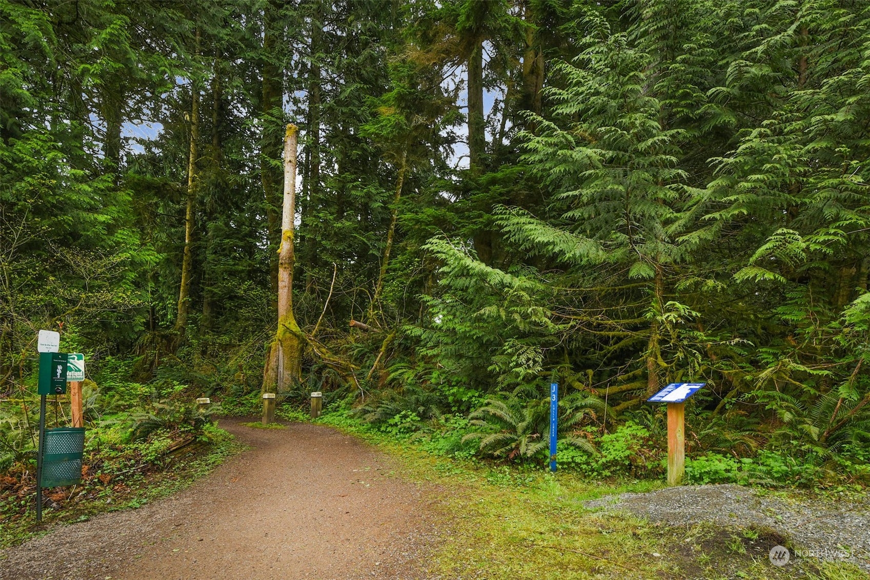 24314 Vine Maple Way, Redmond, WA 98053 Real Estate