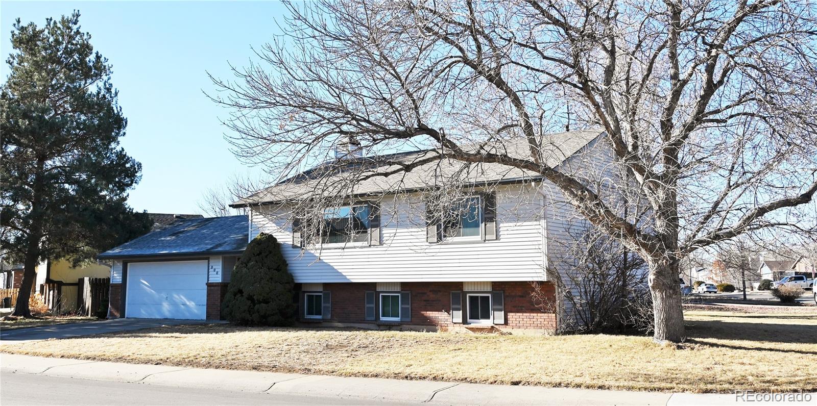 900 Columbine Drive, Windsor, CO 80550 Real Estate