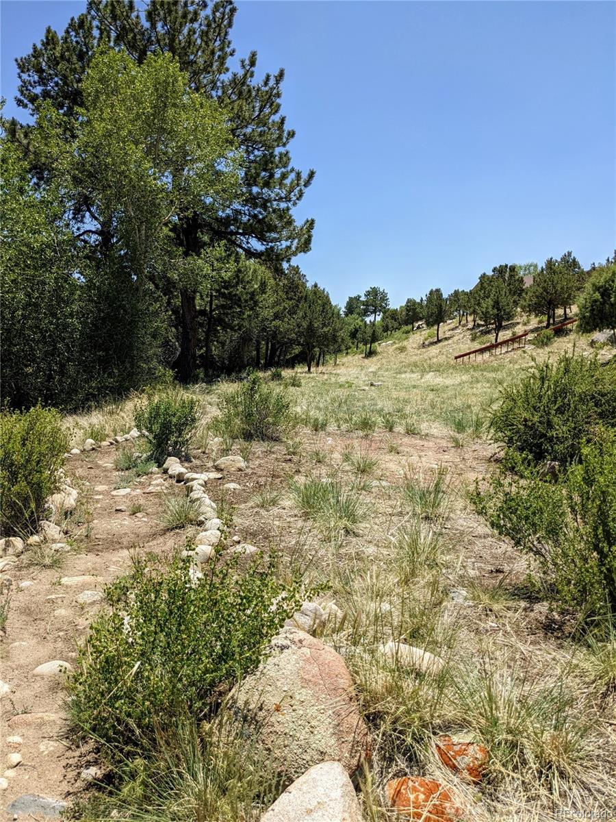 27665 lot 41 COUNTY ROAD 313, Buena Vista, CO 81211, ,Land,For Sale,COUNTY ROAD 313,REC8836678