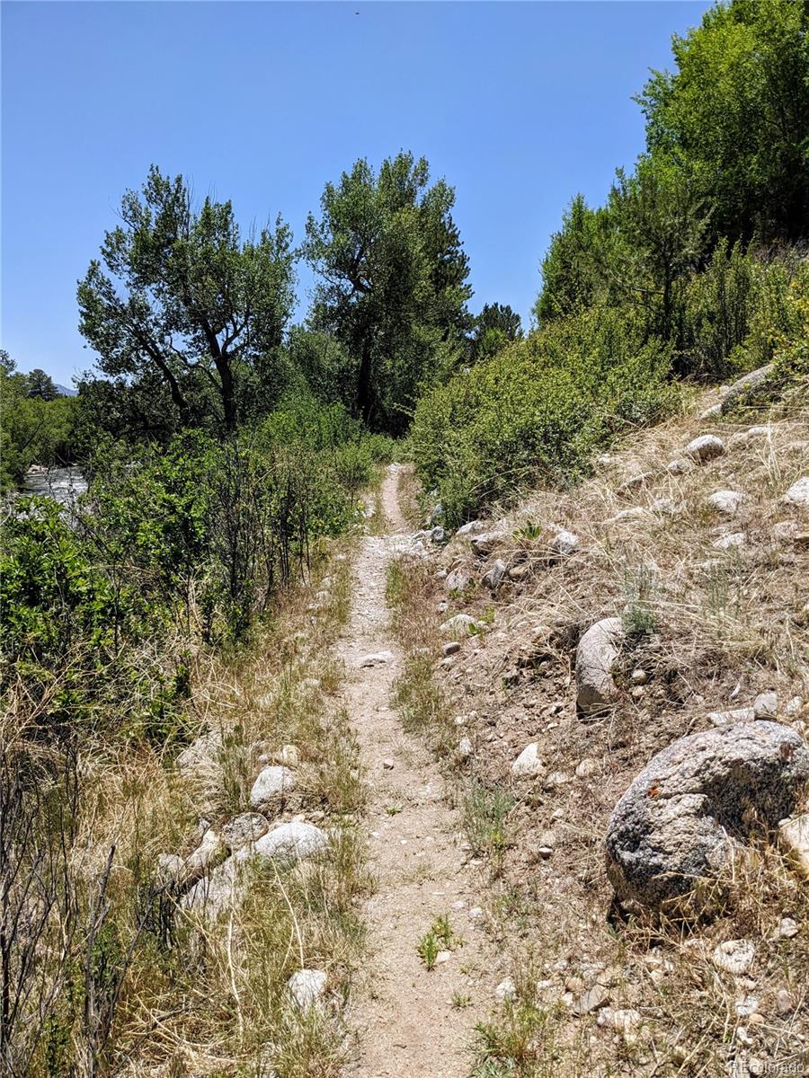 27665 lot 41 COUNTY ROAD 313, Buena Vista, CO 81211, ,Land,For Sale,COUNTY ROAD 313,REC8836678