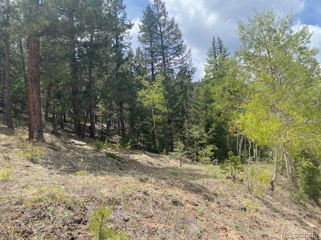 88 Fork Road, Grant, CO 80448, ,Land,For Sale,Fork,REC6345627