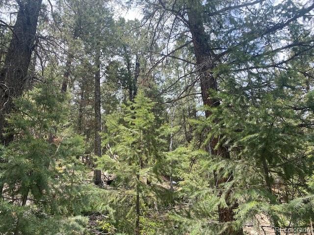 88 Fork Road, Grant, CO 80448, ,Land,For Sale,Fork,REC6345627