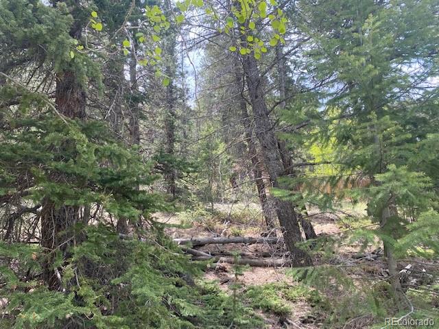 88 Fork Road, Grant, CO 80448, ,Land,For Sale,Fork,REC6345627