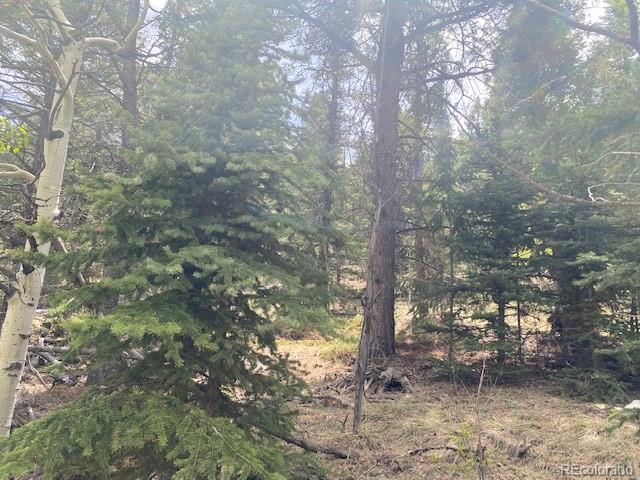 88 Fork Road, Grant, CO 80448, ,Land,For Sale,Fork,REC6345627