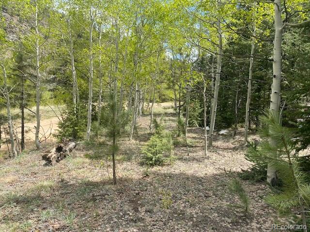 88 Fork Road, Grant, CO 80448, ,Land,For Sale,Fork,REC6345627