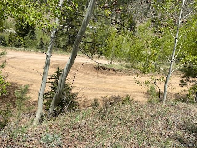 88 Fork Road, Grant, CO 80448, ,Land,For Sale,Fork,REC6345627