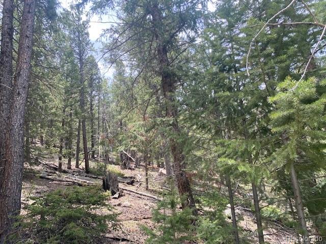 88 Fork Road, Grant, CO 80448, ,Land,For Sale,Fork,REC6345627