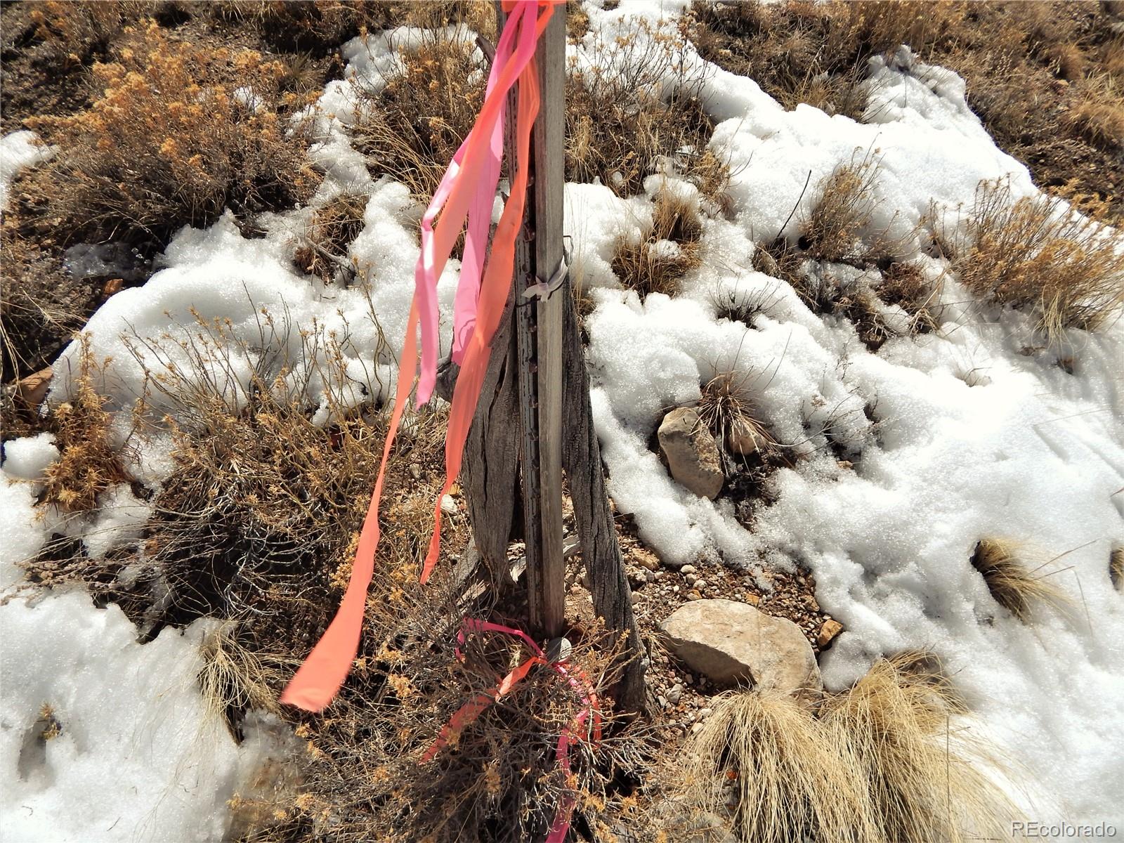 356 BOLSTER Drive, Hartsel, CO 80449, ,Land,For Sale,BOLSTER,REC1760992