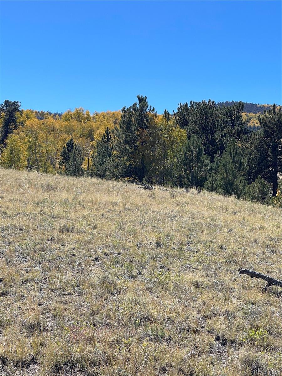 356 BOLSTER Drive, Hartsel, CO 80449, ,Land,For Sale,BOLSTER,REC1760992