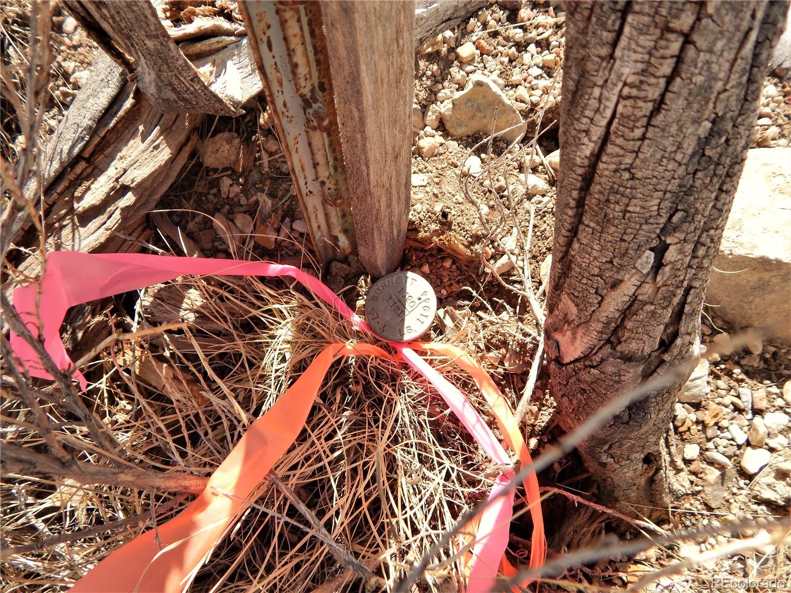 356 BOLSTER Drive, Hartsel, CO 80449, ,Land,For Sale,BOLSTER,REC1760992