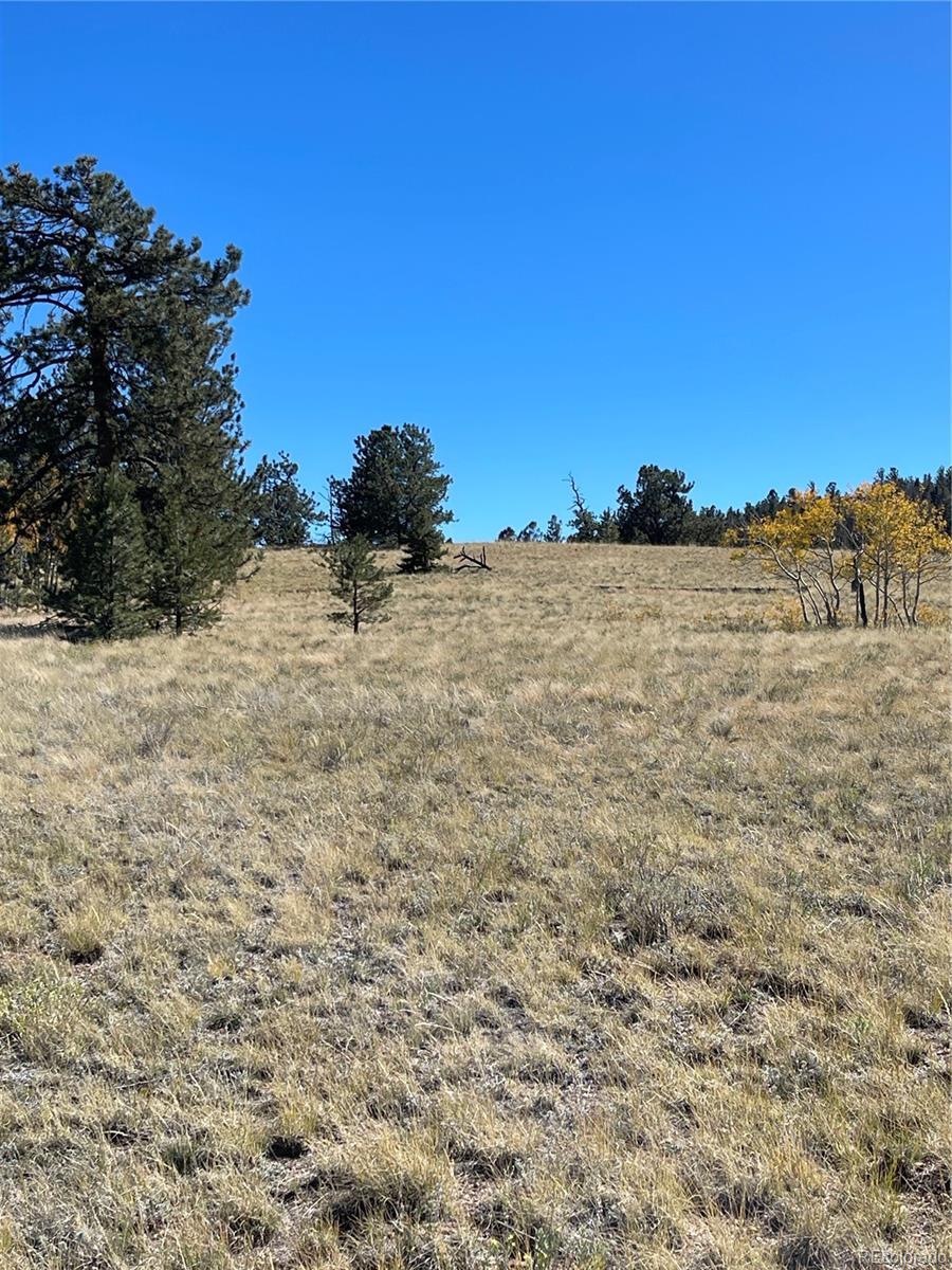 356 BOLSTER Drive, Hartsel, CO 80449, ,Land,For Sale,BOLSTER,REC1760992