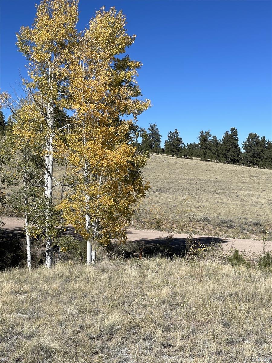 356 BOLSTER Drive, Hartsel, CO 80449, ,Land,For Sale,BOLSTER,REC1760992